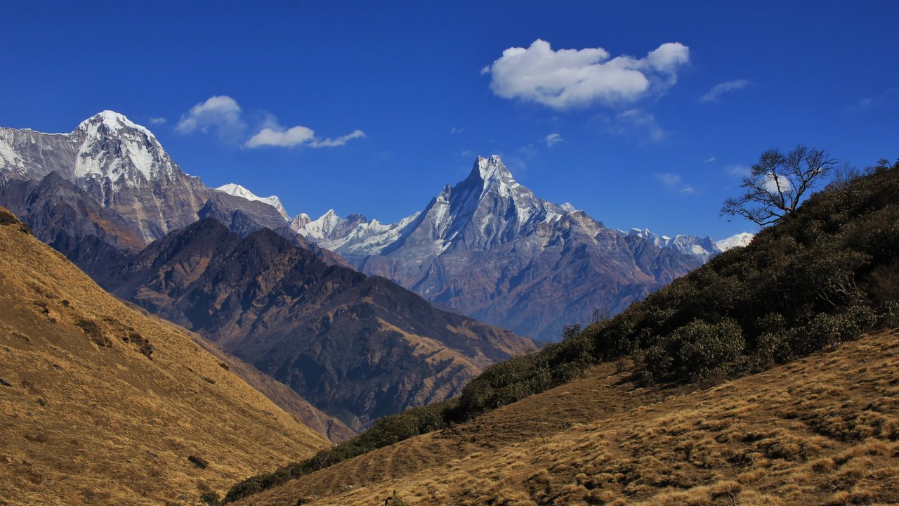Tharpu Chuli Trekking Peak